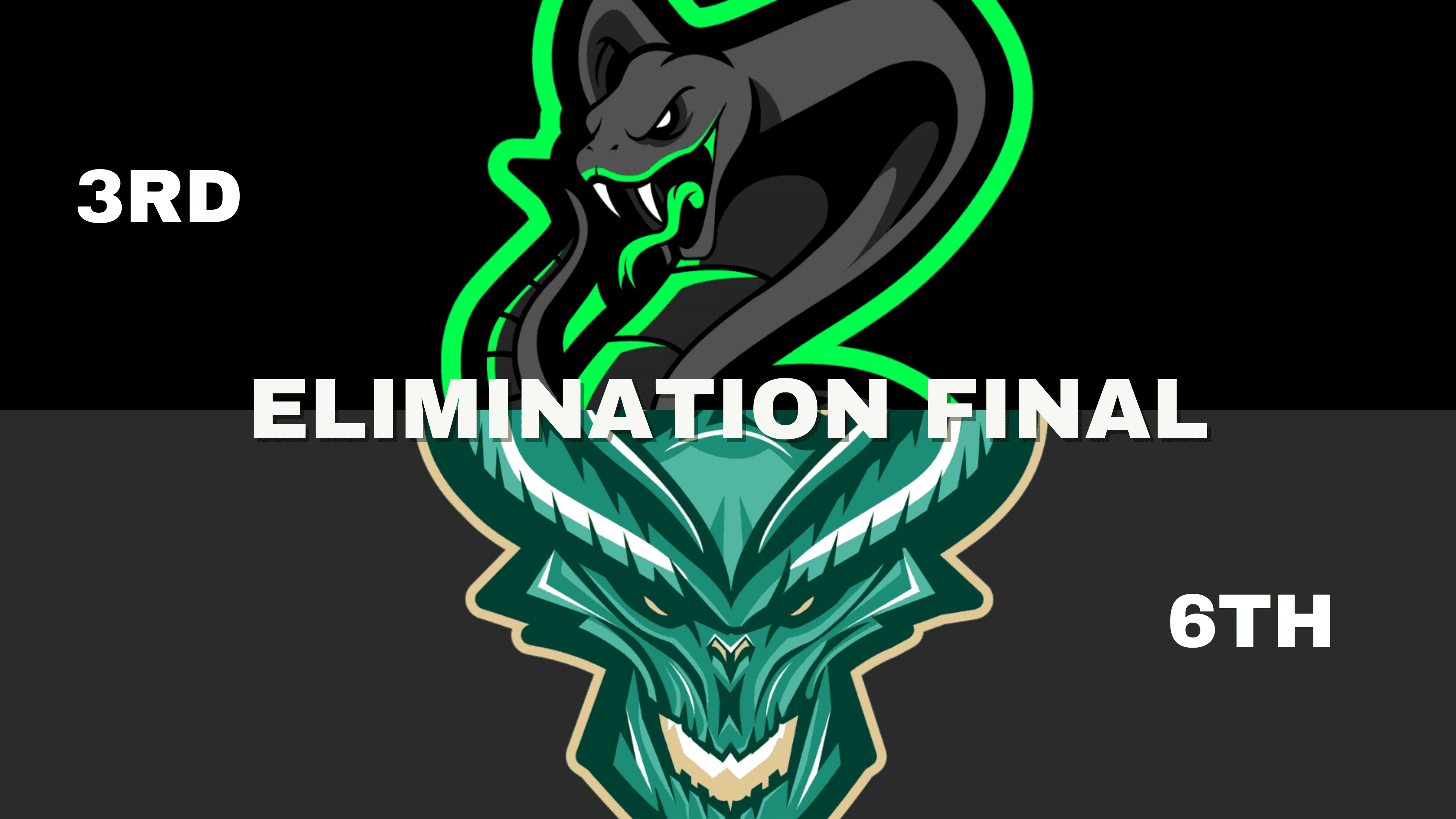 Elimination Final Preview: Lethal Vipers v Taxmanian Devils